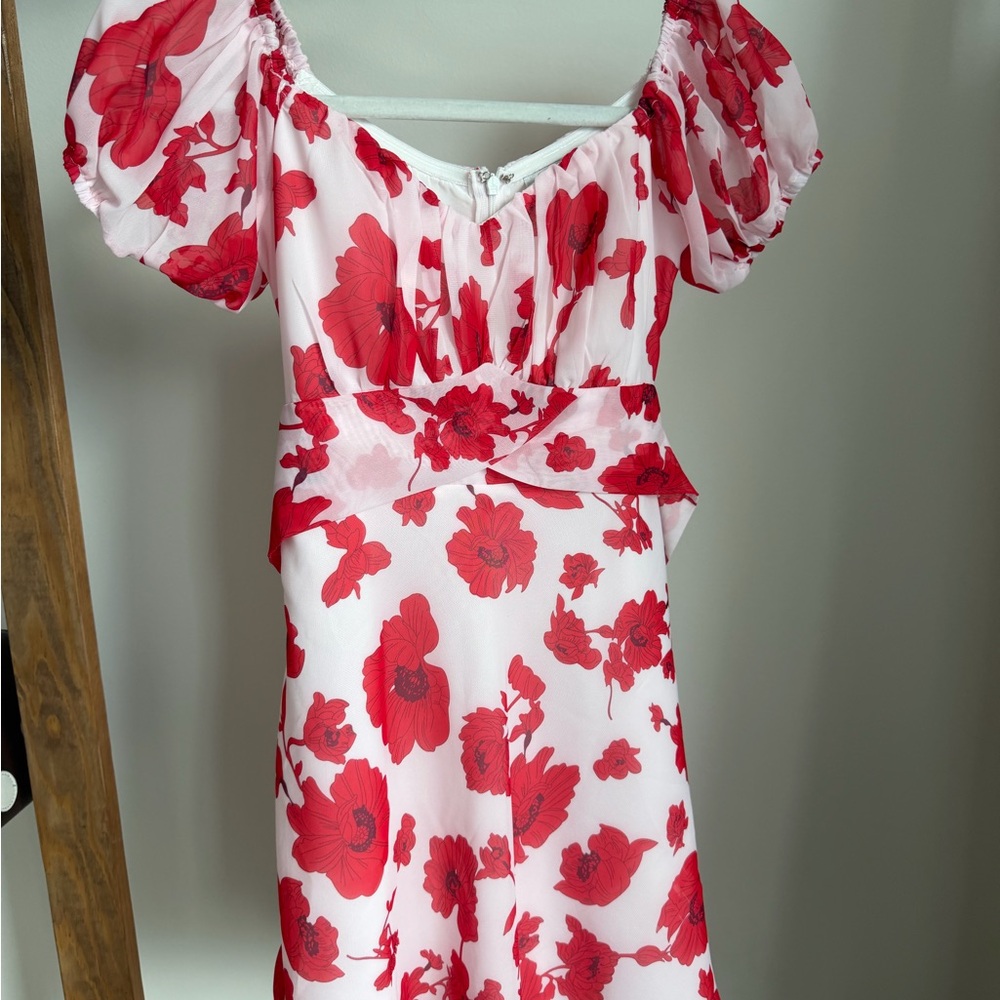 Hello Molly Dress with Red Rose Print and Puff Sleeves